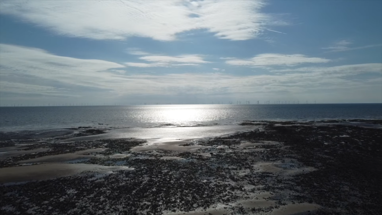 seascape with shimmering waters, rocky shore, and distant wind turbines