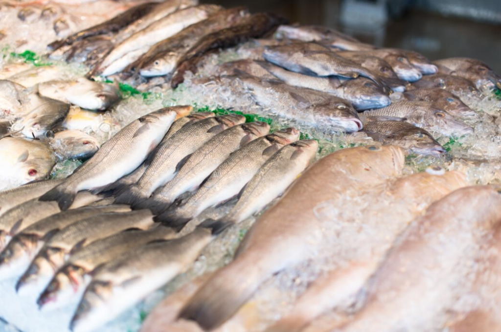 Fresh fish on ice at a market display, glistening under the light