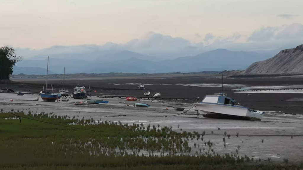 Boats stranded on mudflats with distant mountains, beside greenery and a flock of birds