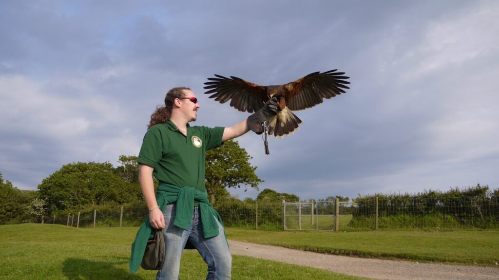 Man holding a bird in his hand